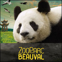 ZOO PARC DE BEAUVAL : Vente Flash Billets à -33% !